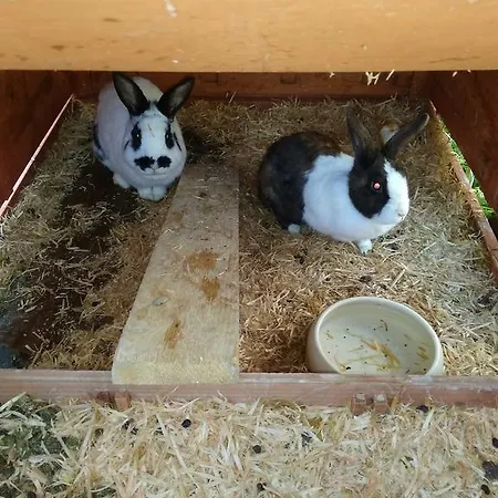 Rojerhof Séjour à la ferme