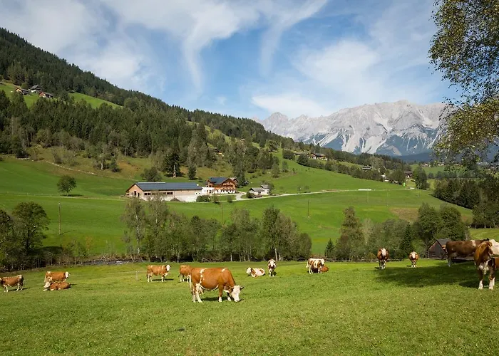 Rojerhof Feriegård Schladming